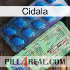 Cidala new02